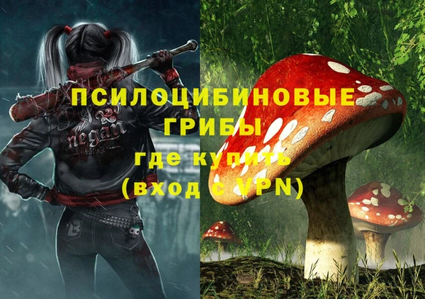 ГАЛЛЮЦИНОГЕННЫЕ ГРИБЫ Алексеевка