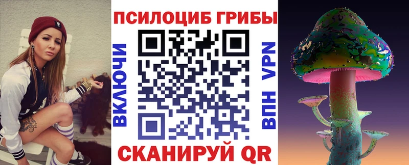 наркошоп  Бикин  мега маркетплейс  Галлюциногенные грибы Magic Shrooms 